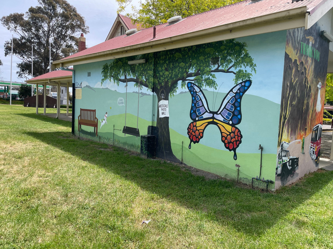 Prince Street Reserve-Rosedale必去景点