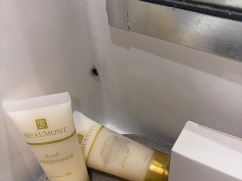 新堡雷恩旅馆主图