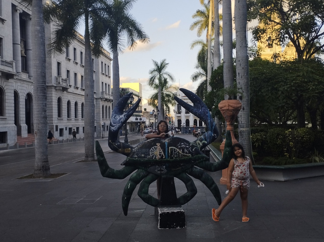 Plaza de Armas-坦皮科必去景点