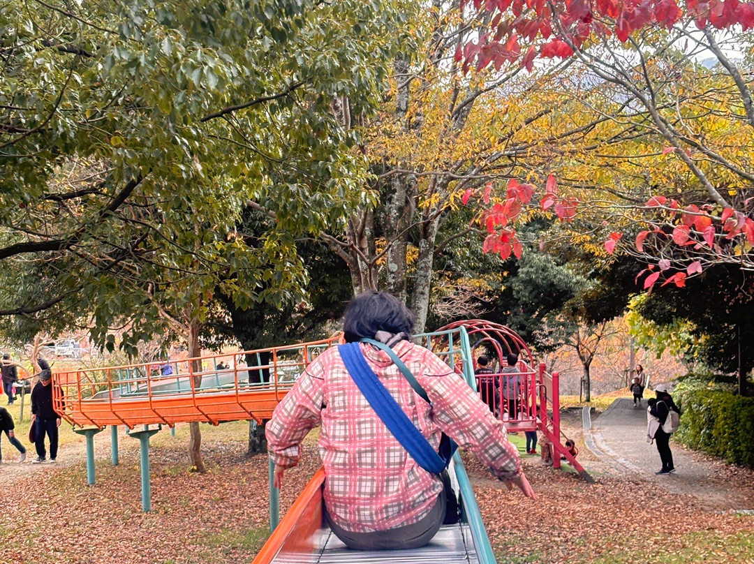 Konosuyama Sports Park-城阳市必去景点