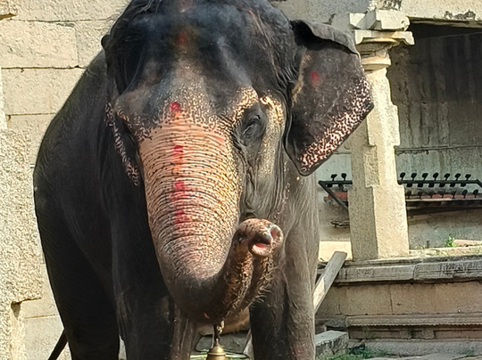 Agora Voyages OPC Pvt. Ltd.-新德里必去景点