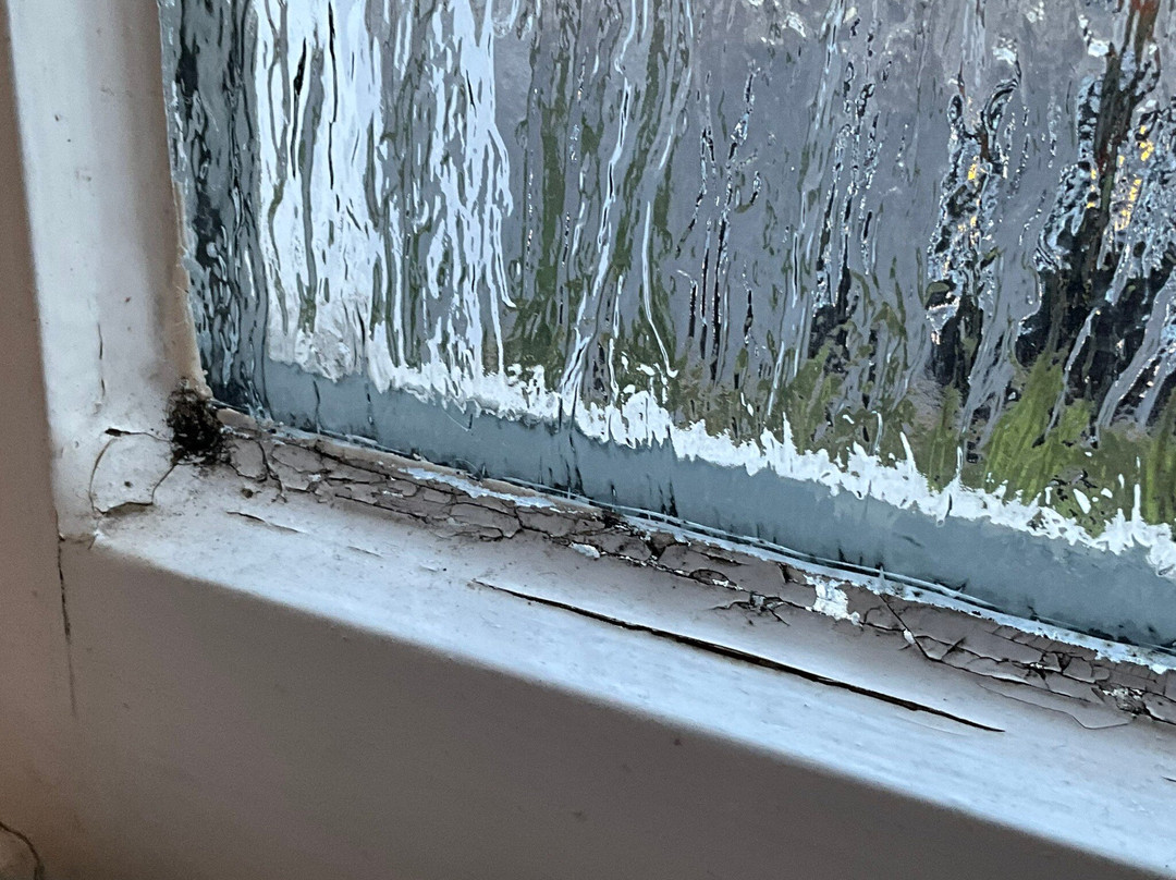 Bayrischer Hof主图