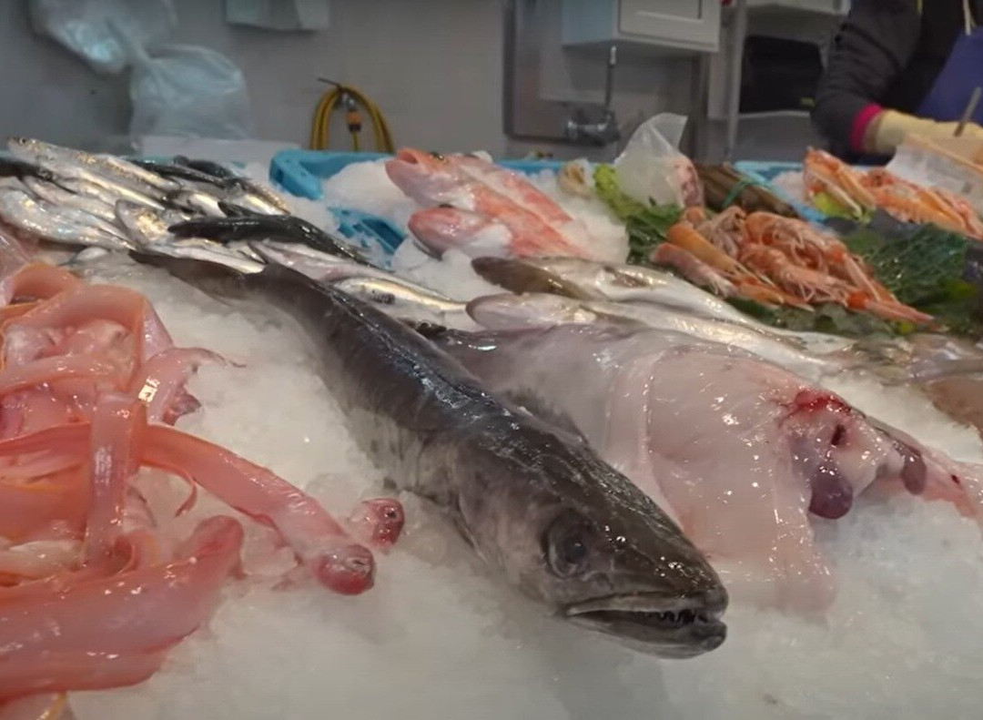 Mercat Municipal de El Prat-埃尔普拉特德略夫雷加特必去景点