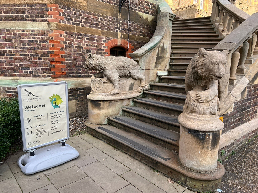 Sedgwick Museum of Earth Sciences-剑桥必去景点