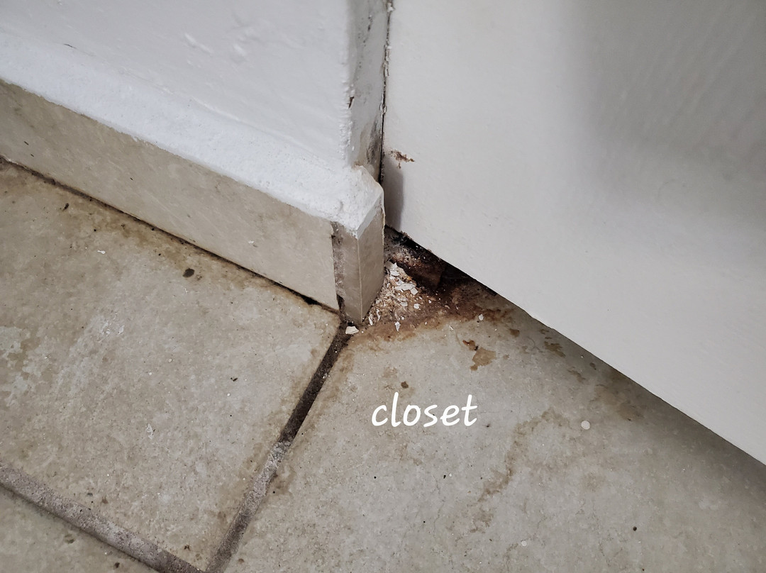 Aquarius Vacation Club主图