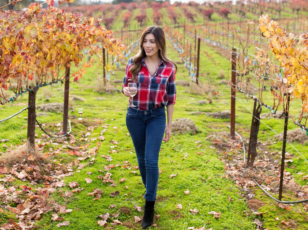 Andis Wines景点图片