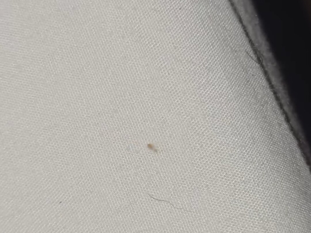 Best Western Milton Inn主图