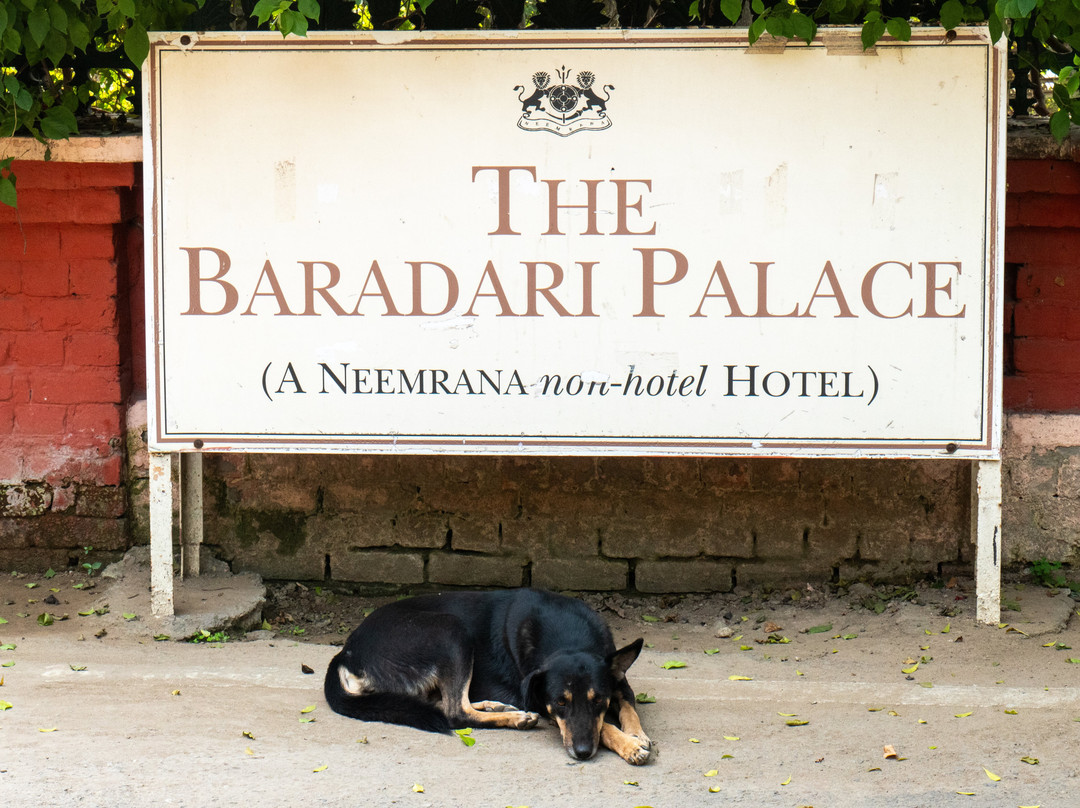 The Baradari Palace Patiala主图