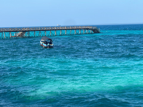 Black Willow Safaris-桑给巴尔岛必去景点