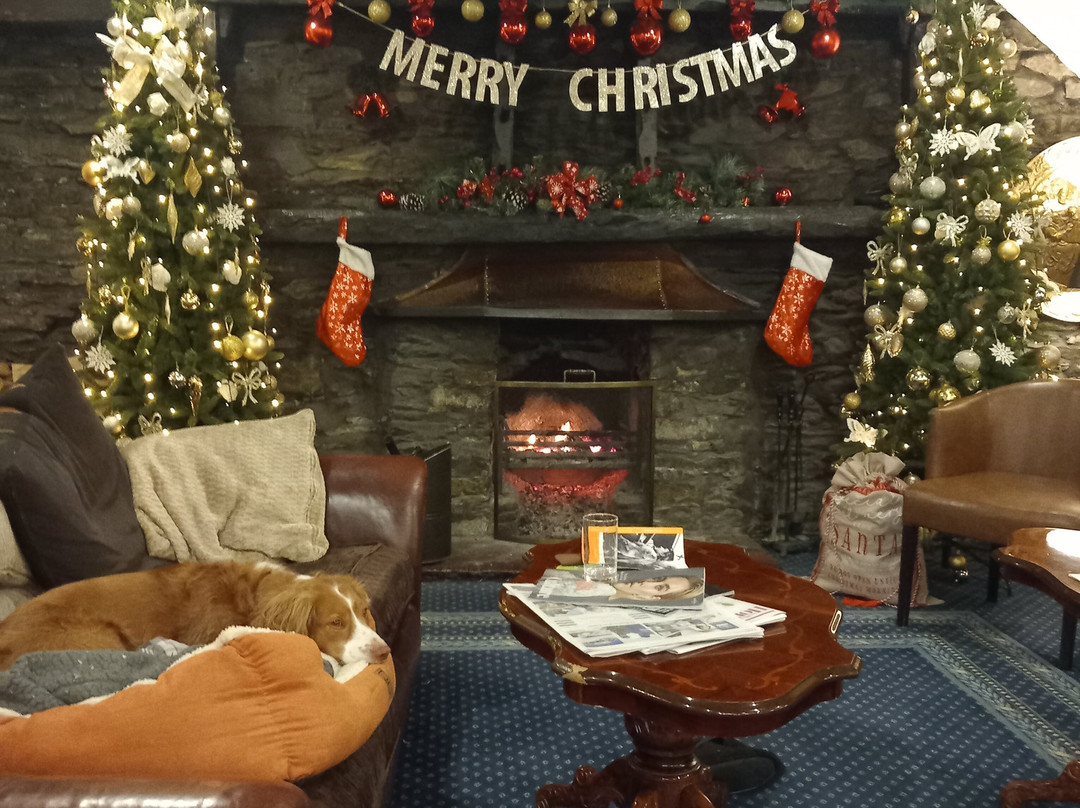 但森沙洲酒店主图