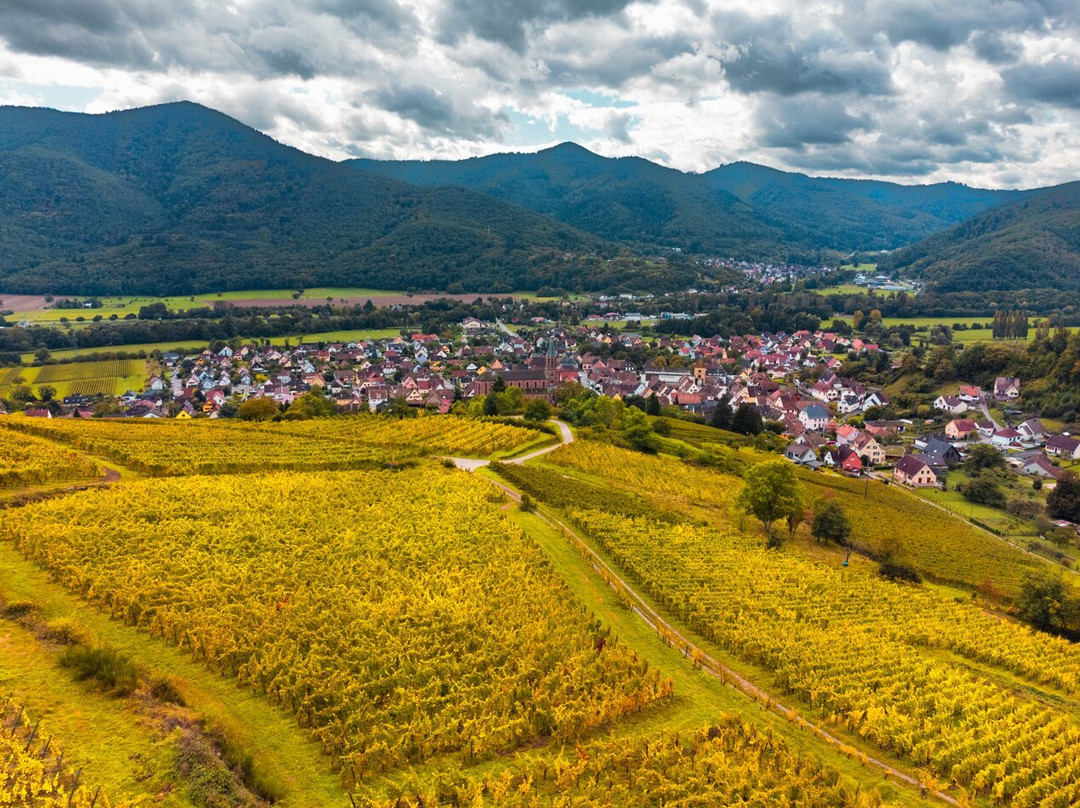 Vins Schoenheitz-Wihr-au-Val必去景点