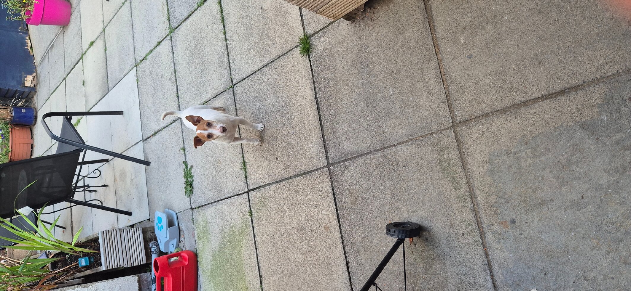 The Bay Ridge Hotel-官方