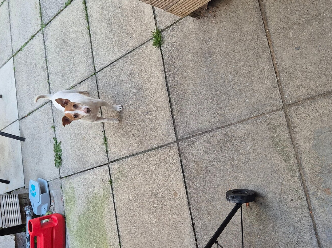 The Bay Ridge Hotel主图