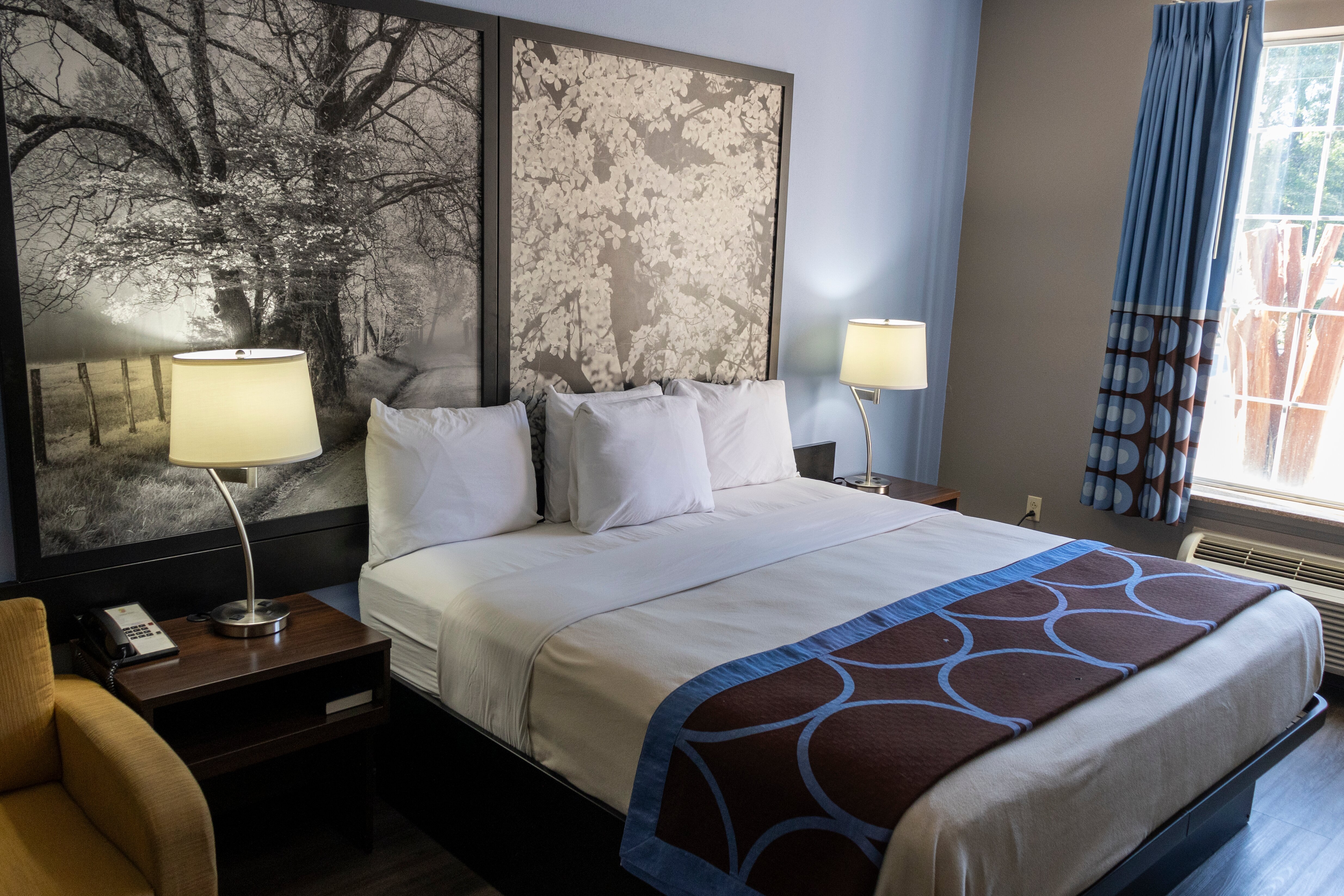 Super 8 by Wyndham Smithfield-客卧