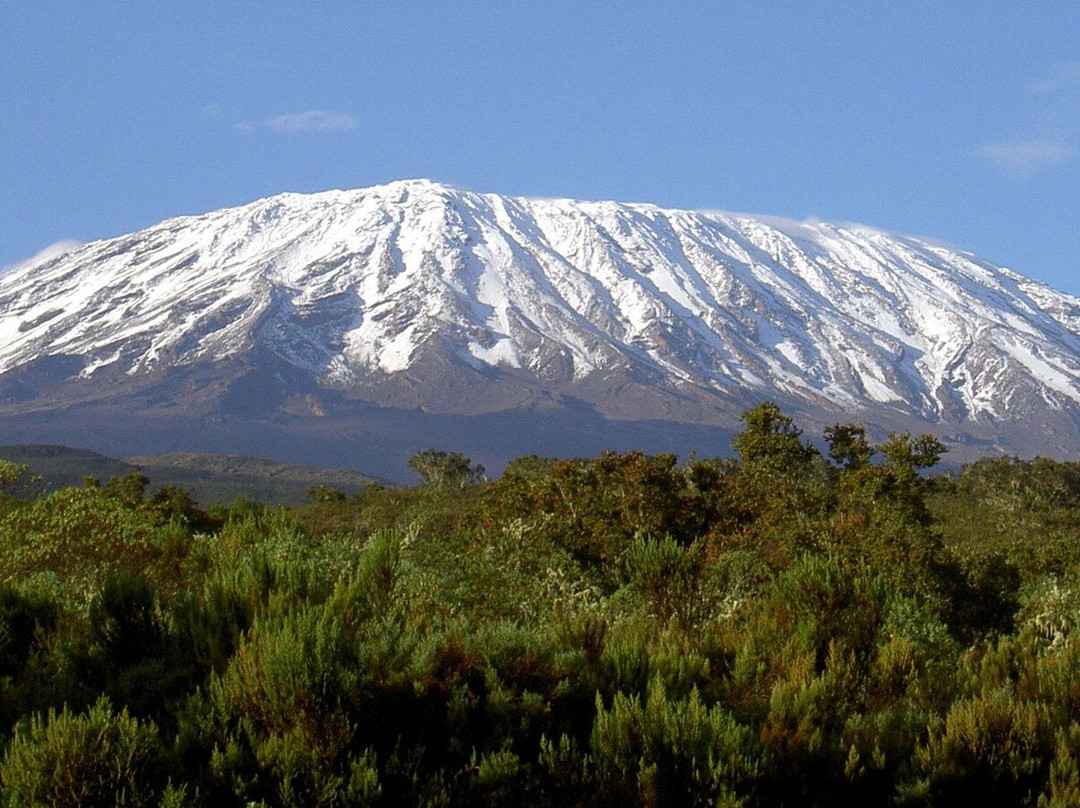 Green Kili Expeditions