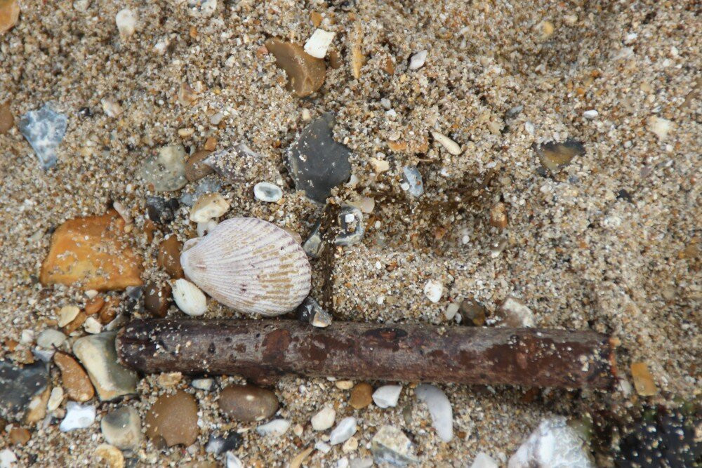 Lee On Solent Beach景点图片