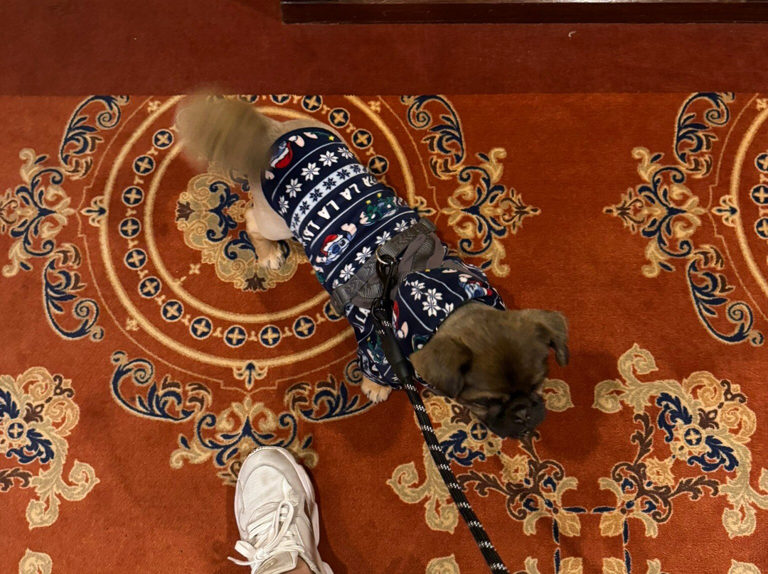 Hotel São Jose主图