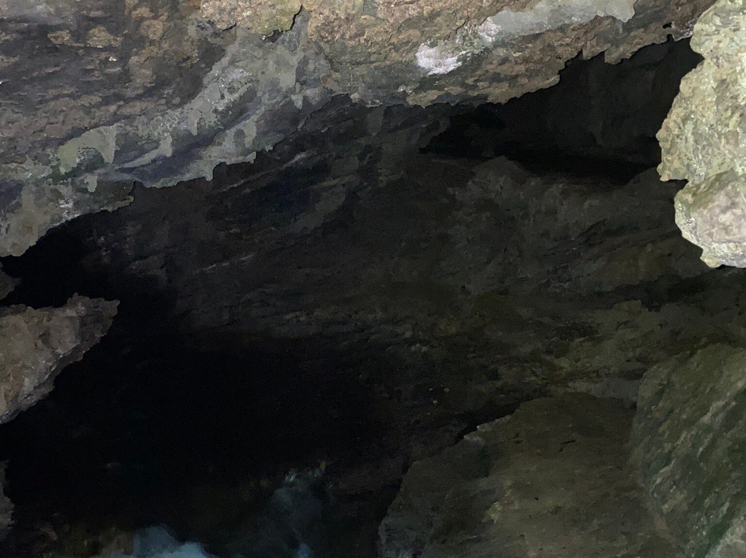 Junee Caves-Maydena必去景点