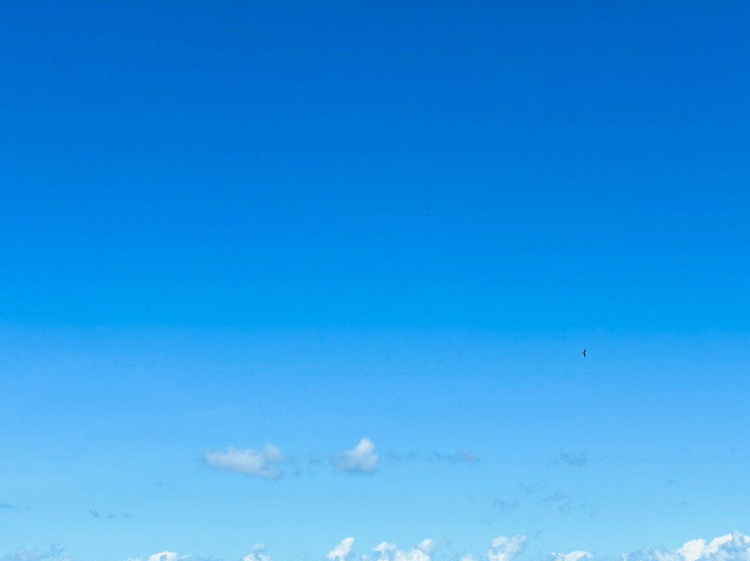 Captain Toch-Le Carbet必去景点