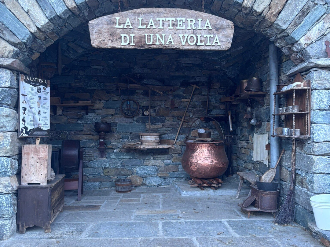 Azienda Agricola Lo Copafen景点图片
