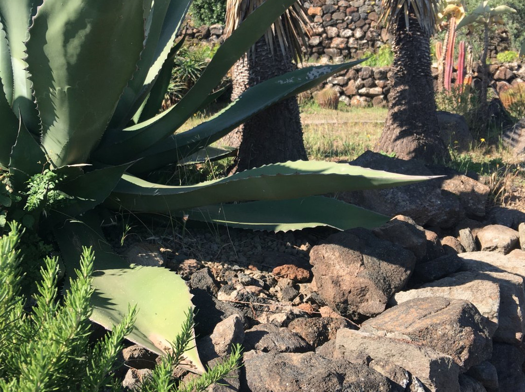 Pantelleria Dream Resort主图