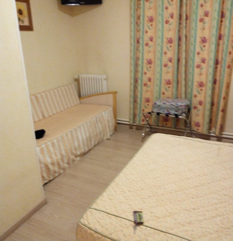 Logis Hôtel des Voyageurs主图