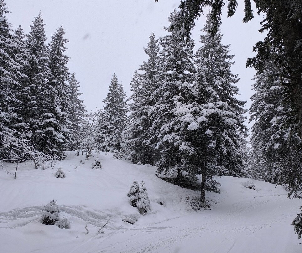 Domaine Skiable de Manigod-Manigod必去景点