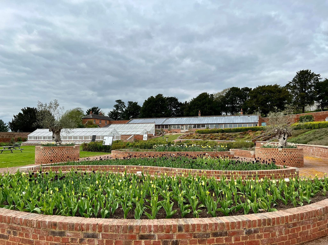 The Walled Gardens At Croome Court-Severn Stoke必去景点