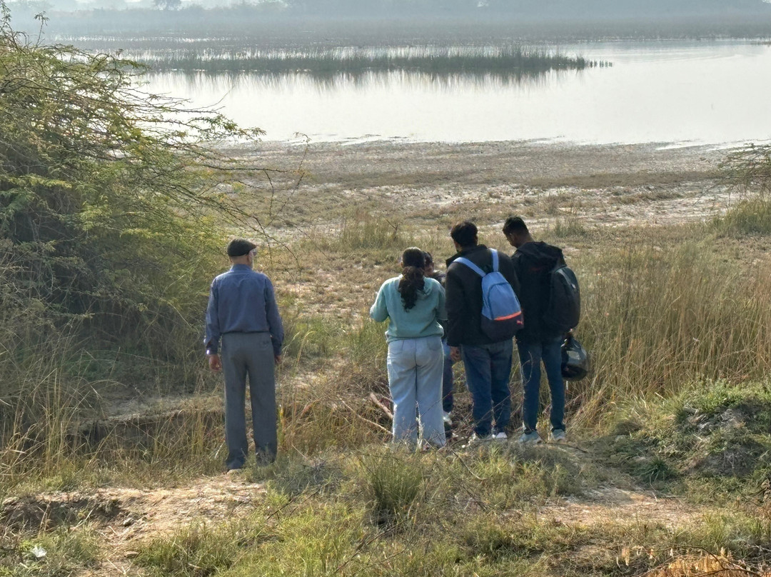 Nalsarovar Bird Sanctuary-Nalsarovar必去景点