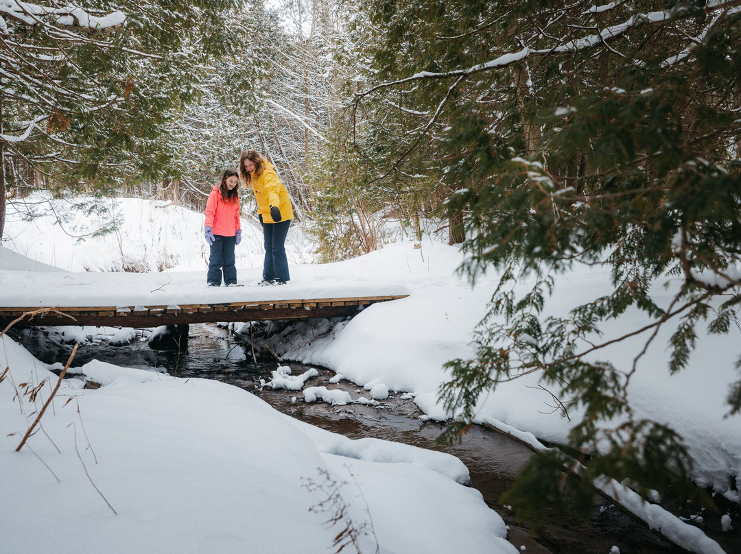 Horseshoe Valley Resort主图