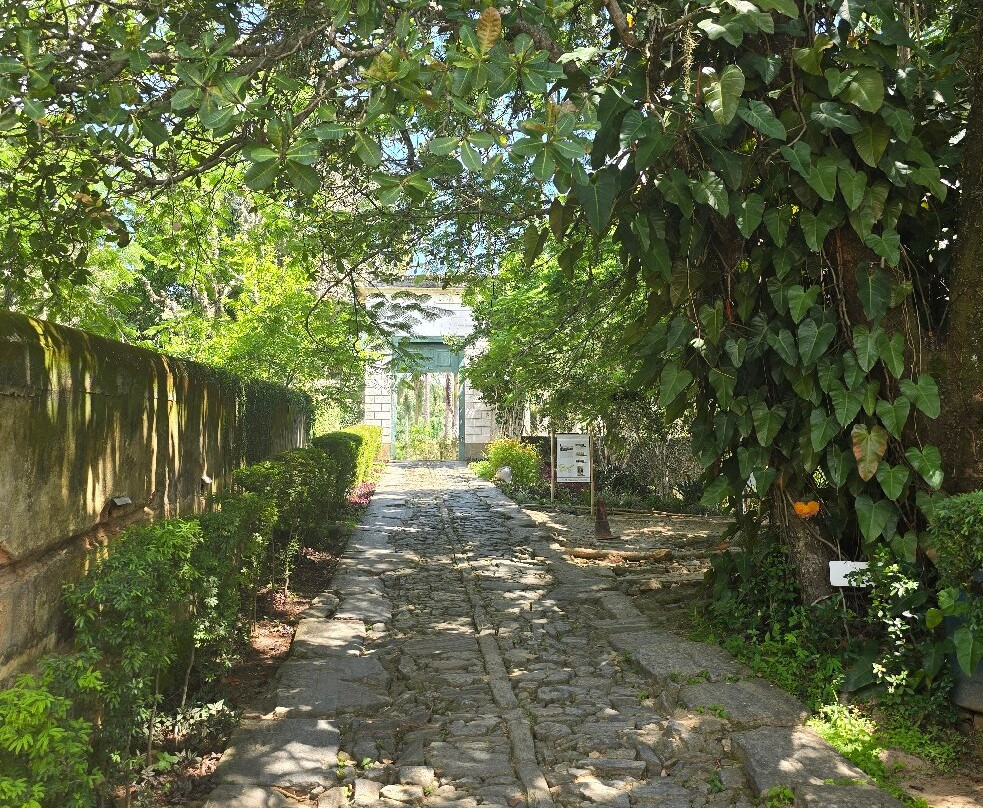 Museu Casa da Hera景点图片