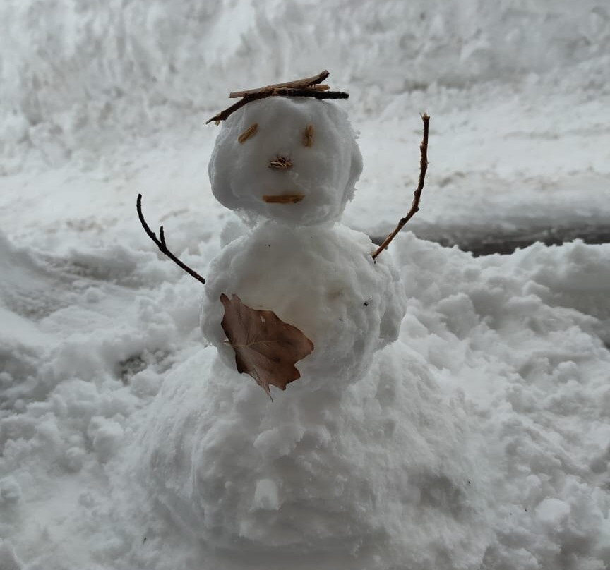 Terrebrune Hotel主图