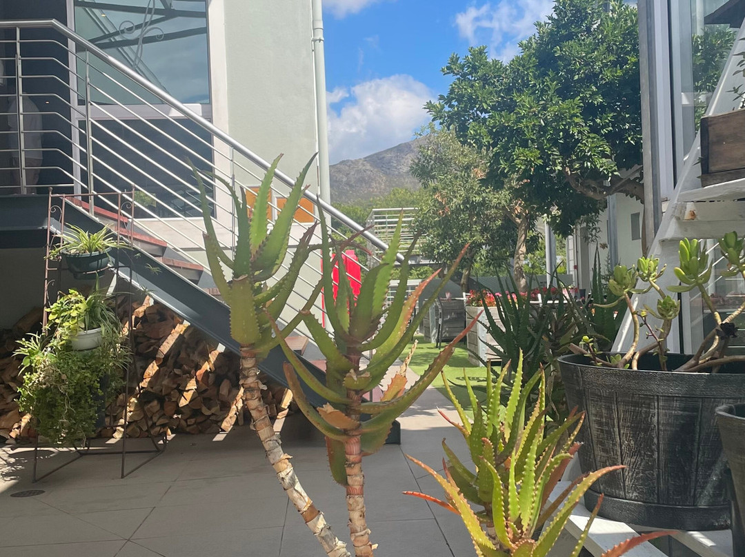 Franschhoek Boutique Hotel主图