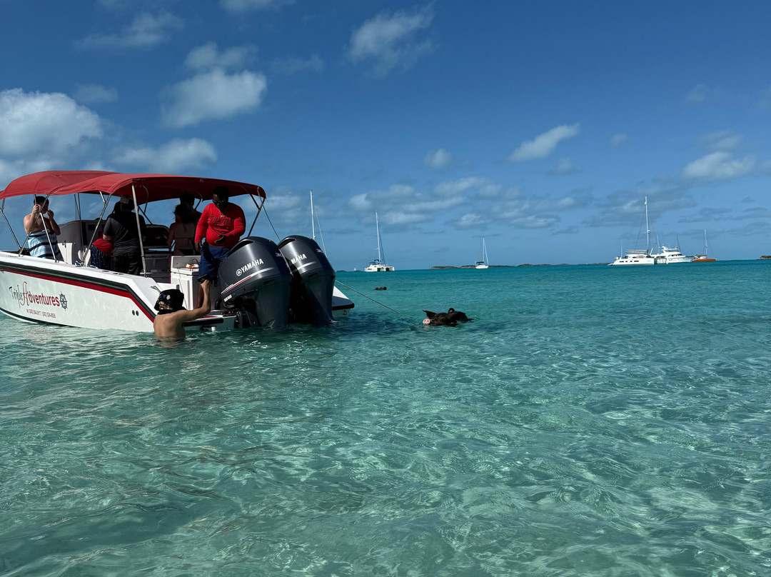 Triple A Adventures-大埃克苏马必去景点