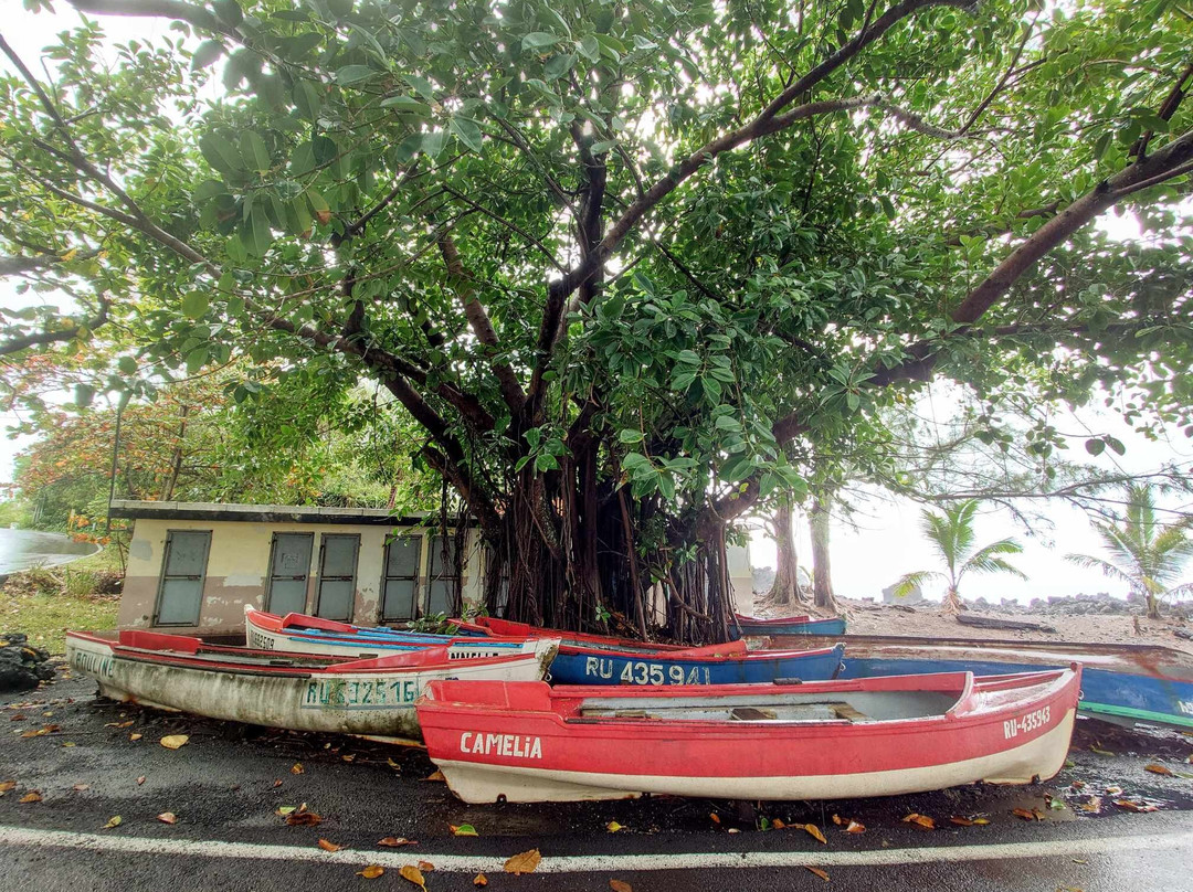 Anna guide touristique-留尼旺圣皮耶必去景点