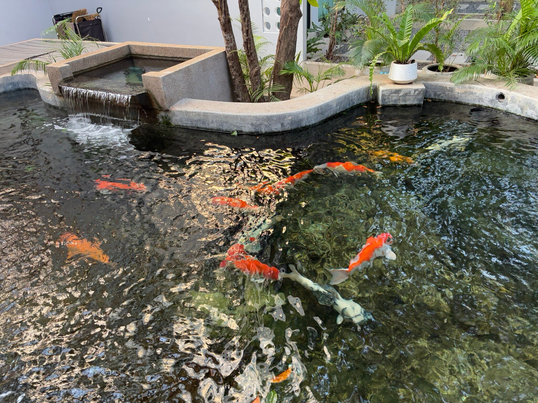 Rainforest Hotel By NSUN主图