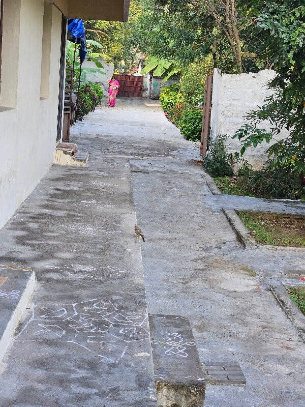 Kumbakonam Inn Hotels - Kumbakonam Inn Stay主图