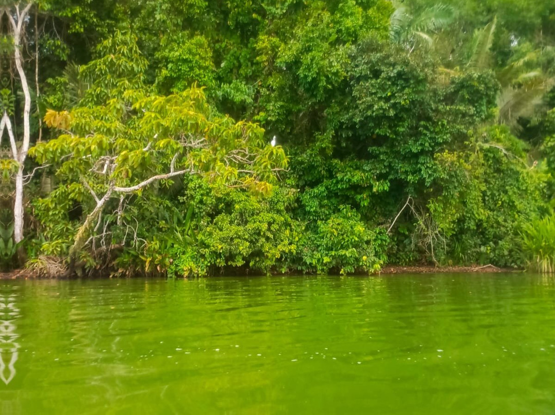 Limoncocha National Biological Reserve-Limoncocha必去景点