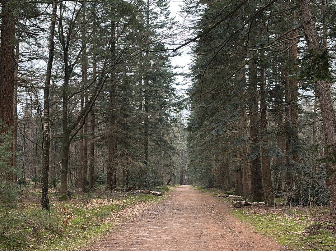 Kaapse Bossen-Doorn必去景点