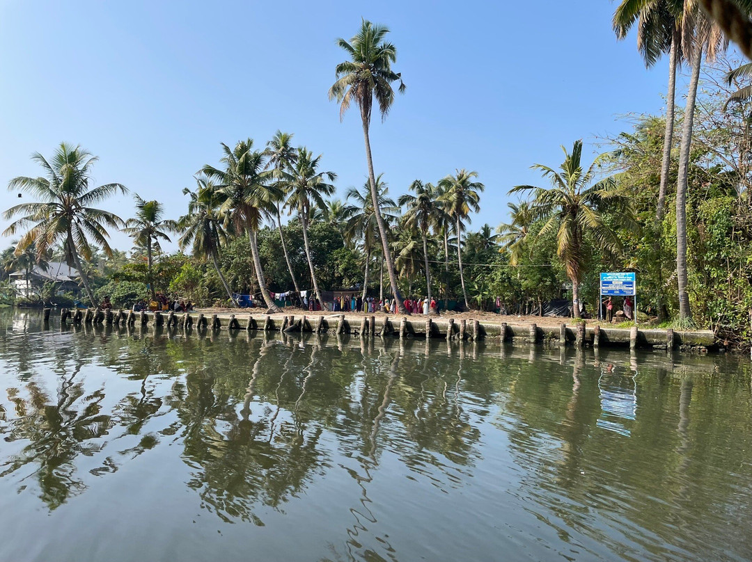 Ayurwakeup Ayurveda & Yoga Retreat主图