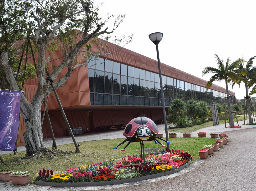 Oceanic Culture Museum景点图片