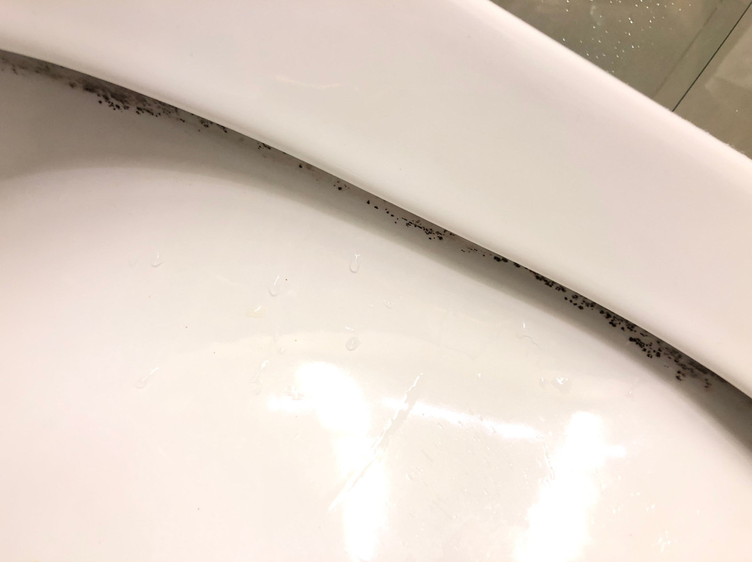 Hotel Jardines De Uleta Suites主图