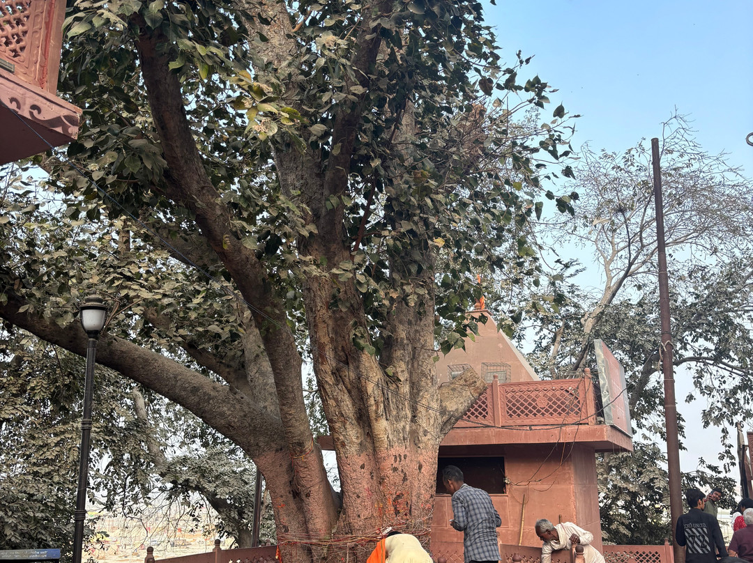 Nagvasuki Temple景点图片