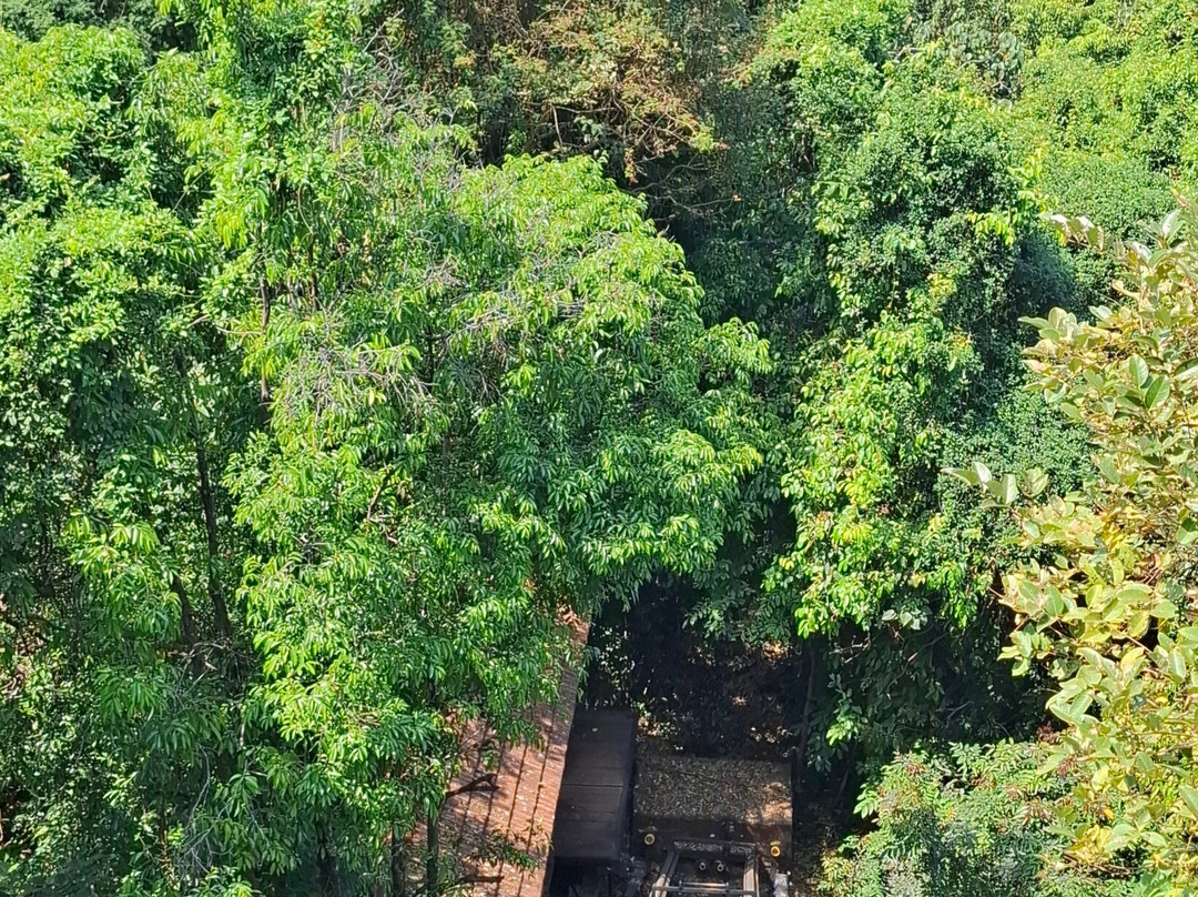 Funicular (wildernest)景点图片