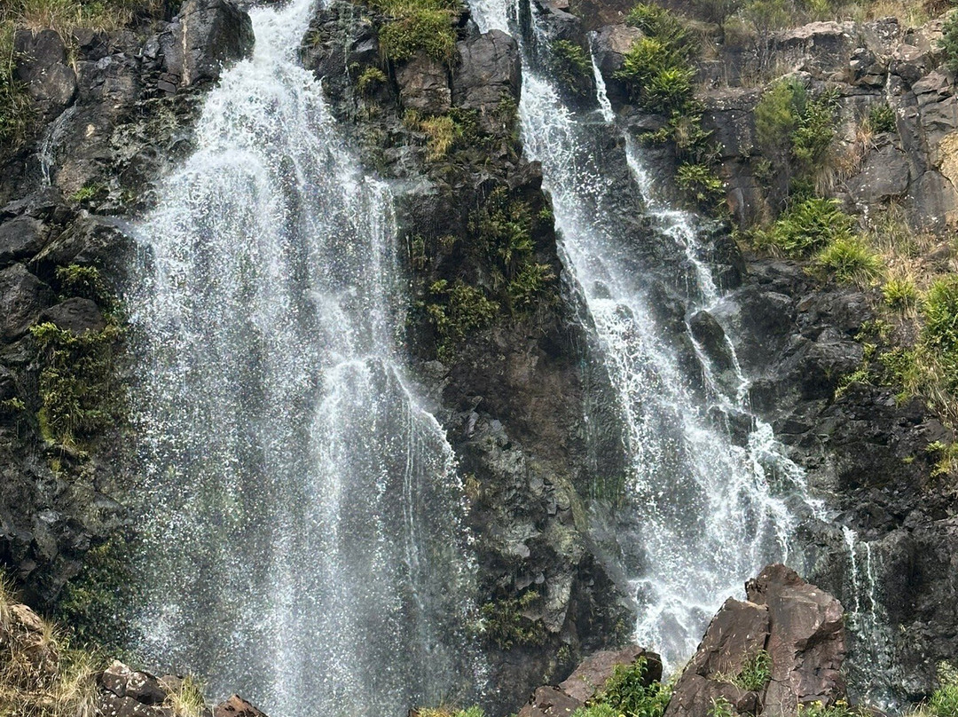 Waratah Falls-Waratah必去景点