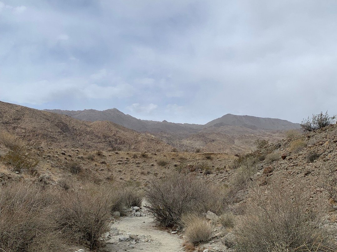 Randall Henderson Loop Trail-棕榈沙漠必去景点