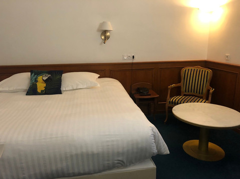 法兰西酒店主图