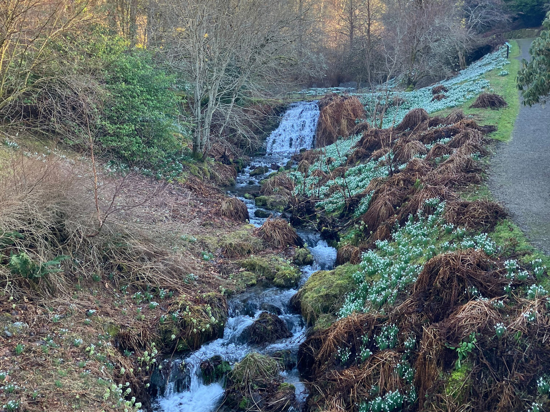 Dawyck Botanic Garden and Cafe景点图片