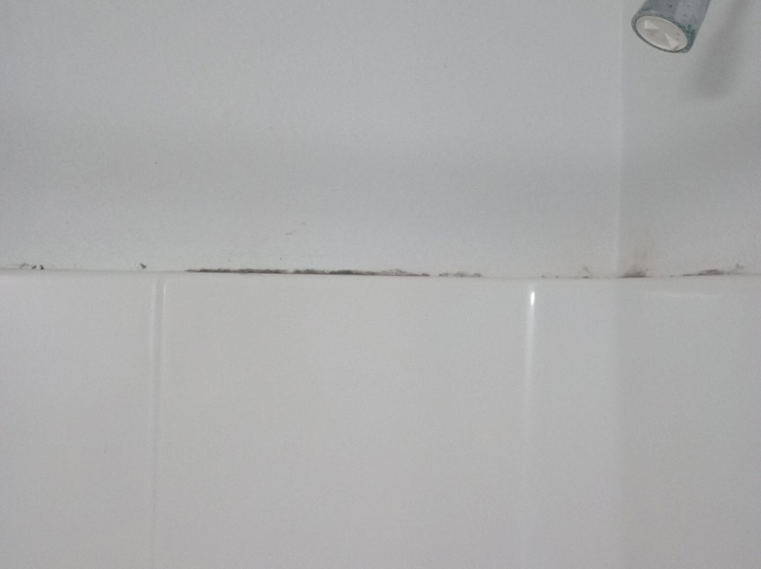 WoodSpring Suites Harlingen主图