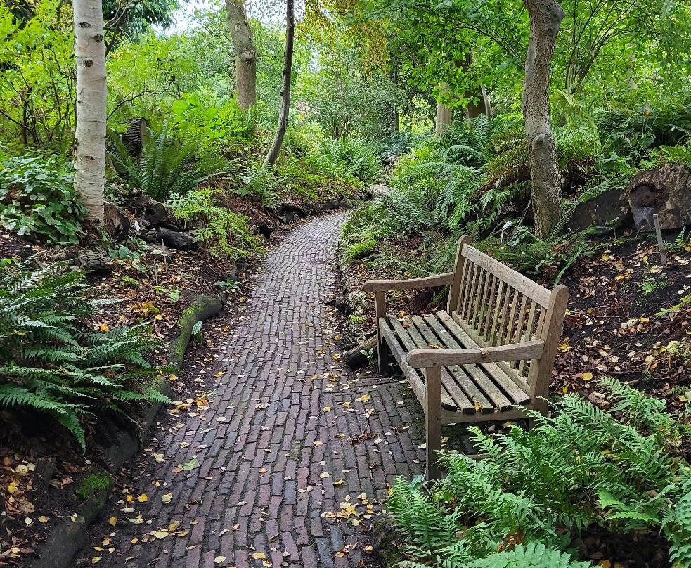 Hortus Botanicus Leiden景点图片